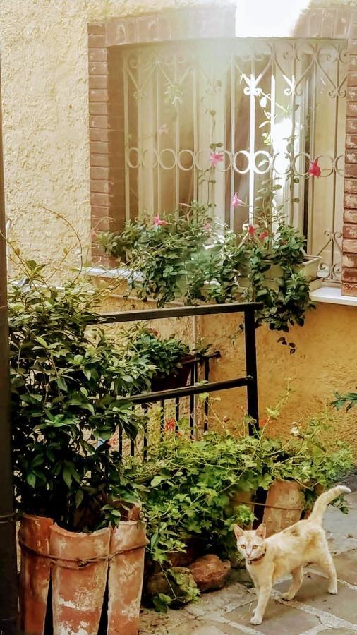 Ferienwohnung Casa Gaia Trivigno Exterior foto